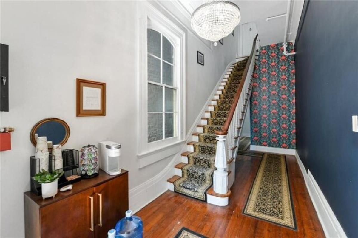 Picture of Apartment For Rent in New Orleans, Louisiana, United States