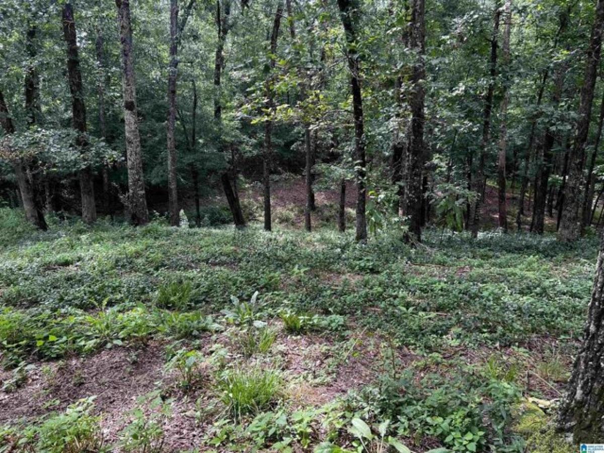 Picture of Home For Sale in Adger, Alabama, United States