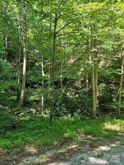Residential Land For Sale in Lake Lure, North Carolina