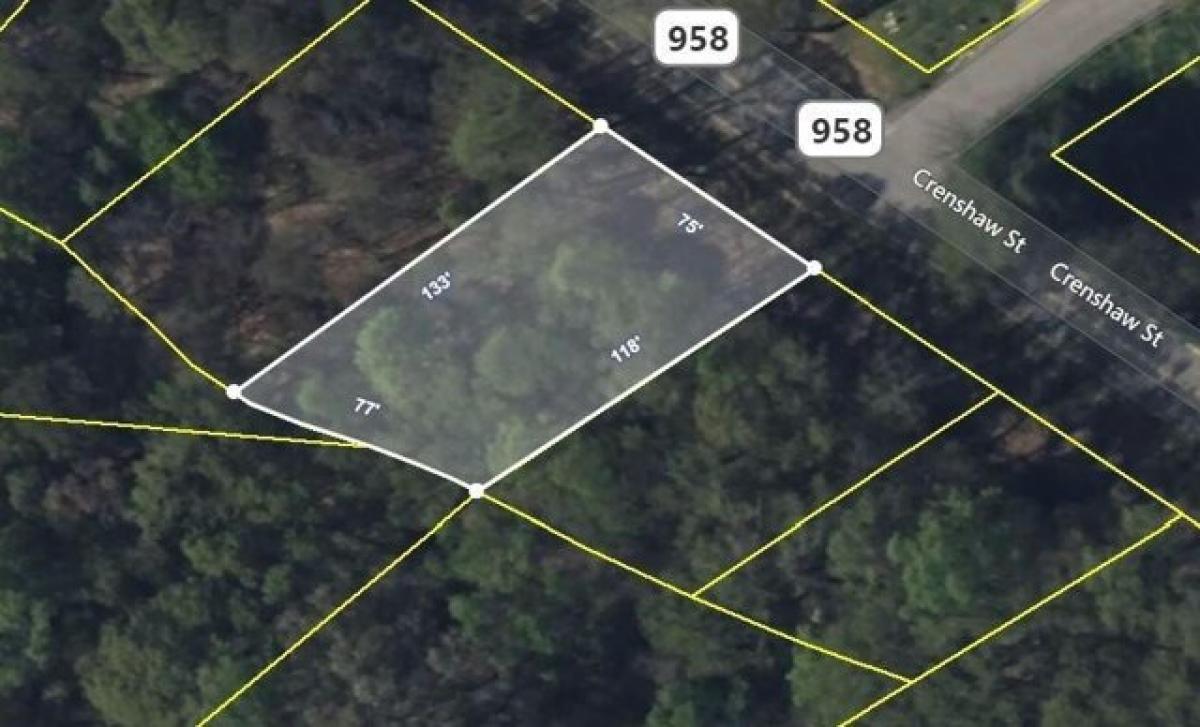 Picture of Residential Land For Rent in Pendleton, South Carolina, United States
