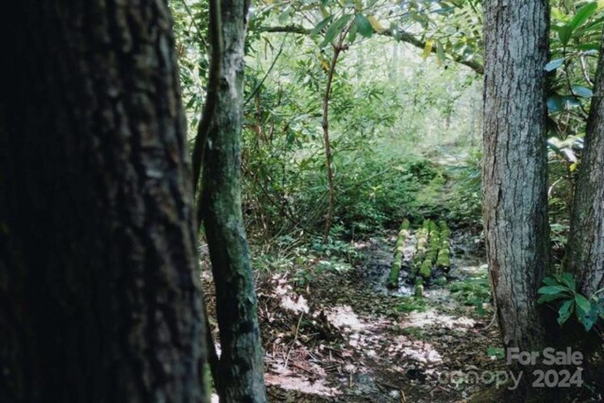 Picture of Residential Land For Sale in Rosman, North Carolina, United States