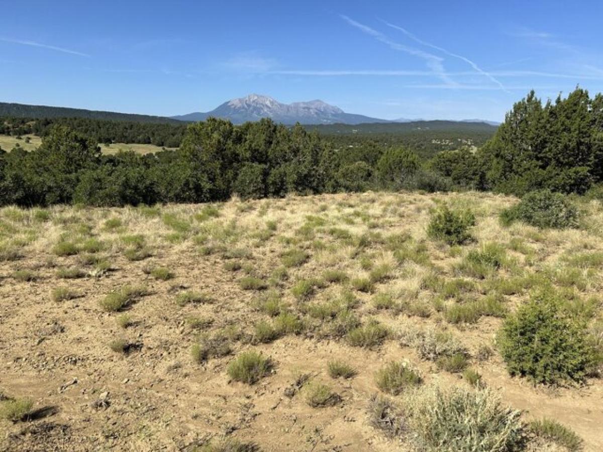 Picture of Residential Land For Sale in Walsenburg, Colorado, United States