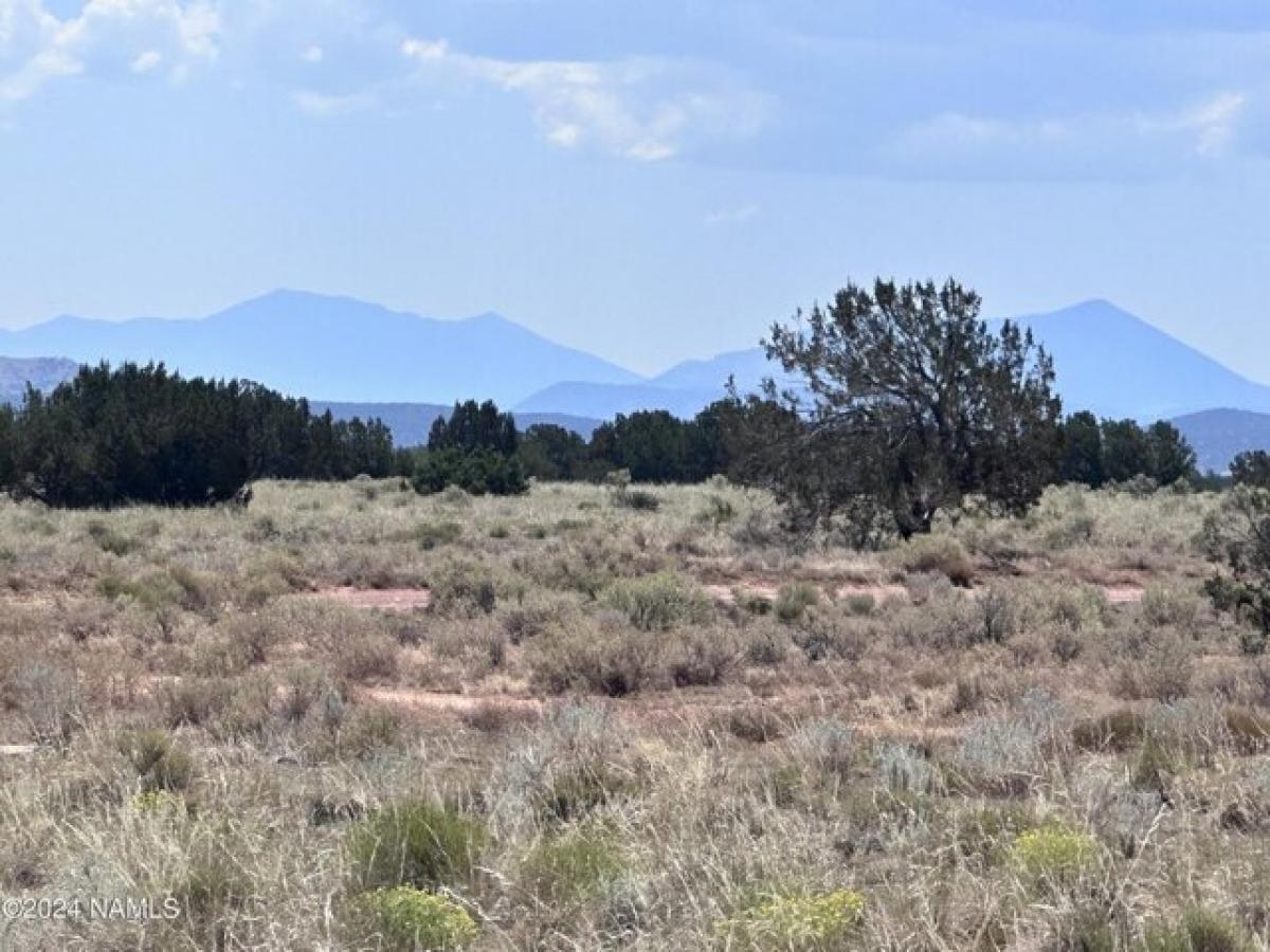 Picture of Residential Land For Sale in Williams, Arizona, United States