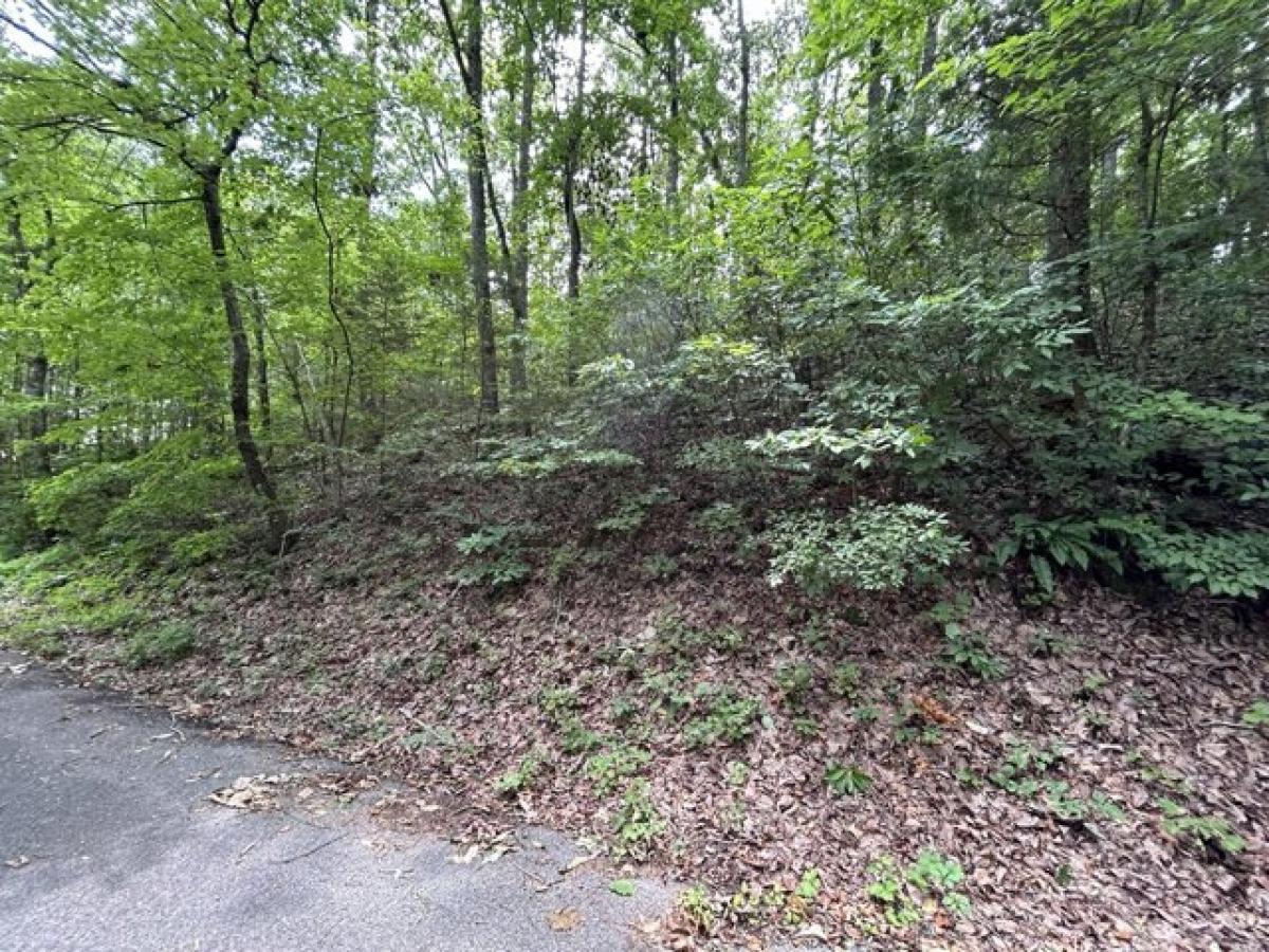 Picture of Residential Land For Sale in Cleveland, Tennessee, United States
