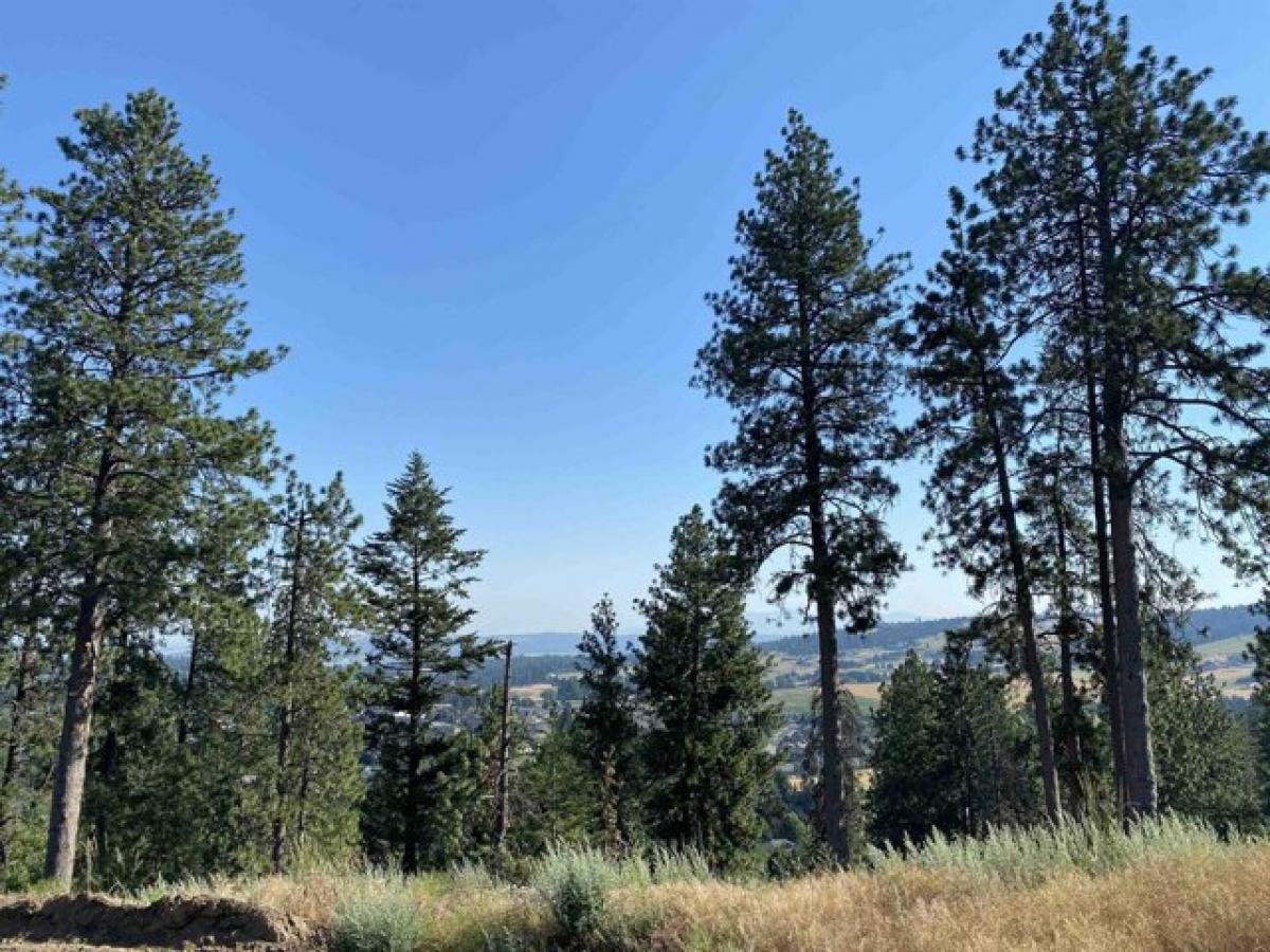 Picture of Residential Land For Sale in Spokane, Washington, United States