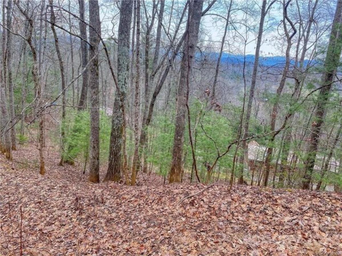 Picture of Residential Land For Rent in Franklin, North Carolina, United States