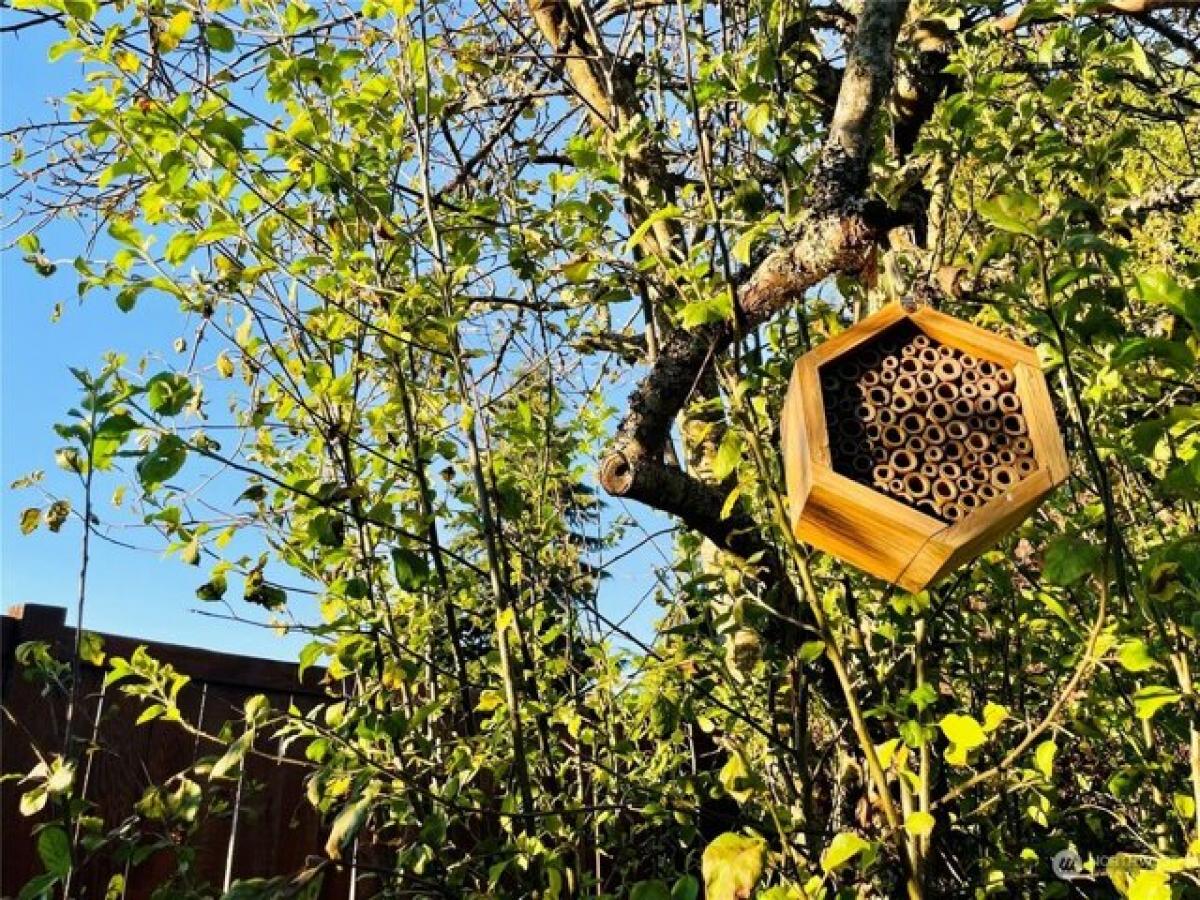 Picture of Home For Sale in Bonney Lake, Washington, United States