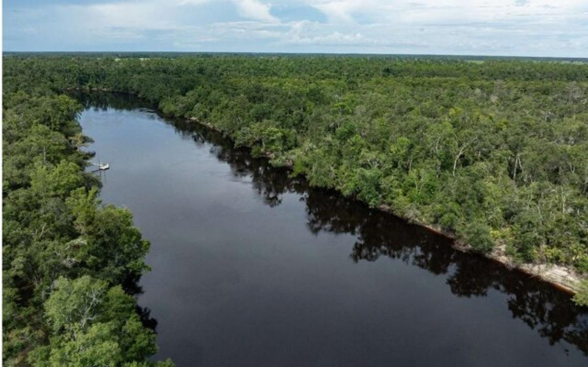 Picture of Residential Land For Sale in Live Oak, Florida, United States