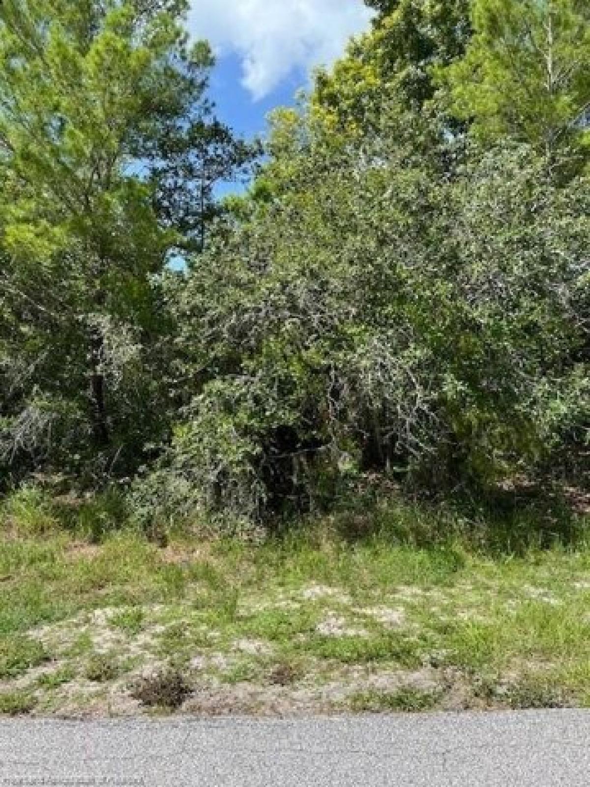 Picture of Residential Land For Sale in Lake Placid, Florida, United States