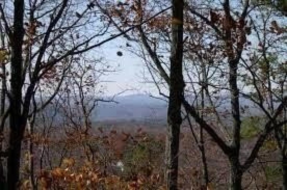 Picture of Residential Land For Sale in Big Canoe, Georgia, United States