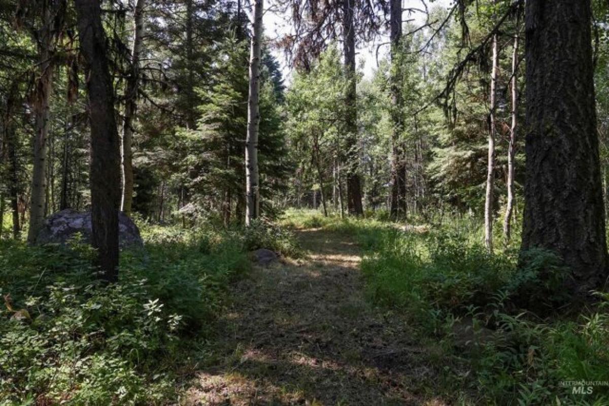 Picture of Residential Land For Sale in McCall, Idaho, United States