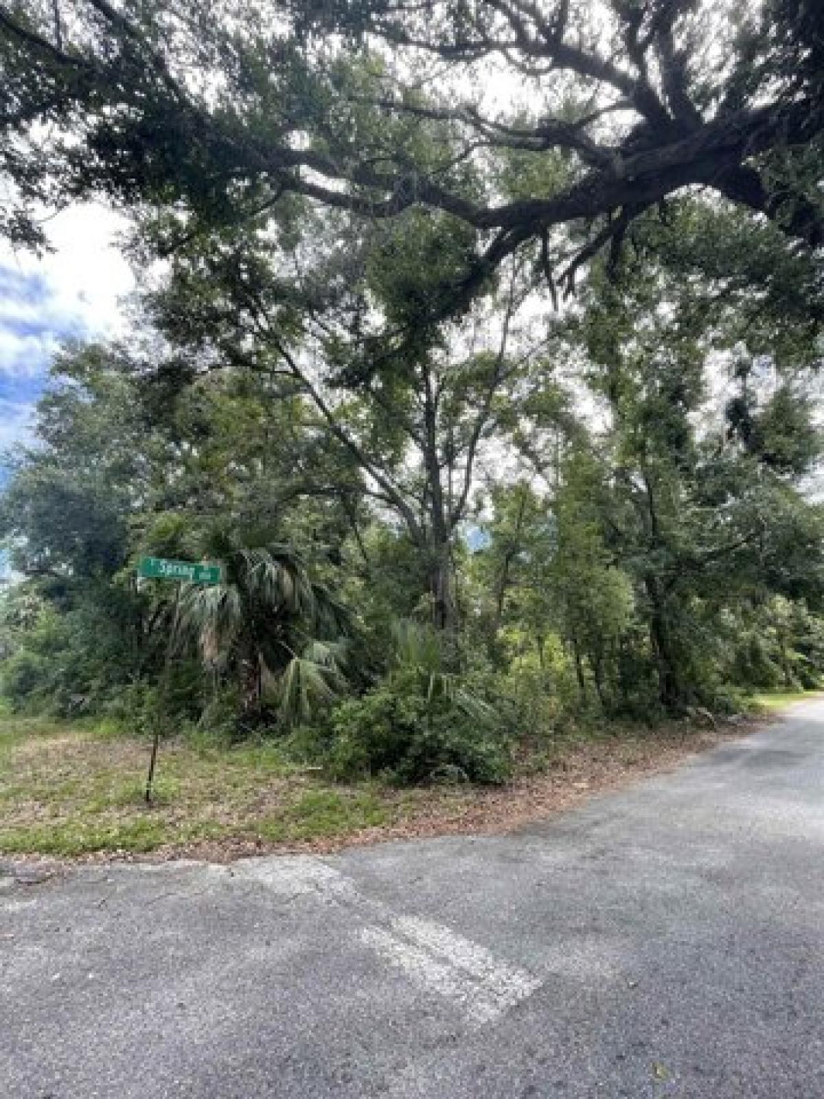 Picture of Residential Land For Rent in Perry, Florida, United States