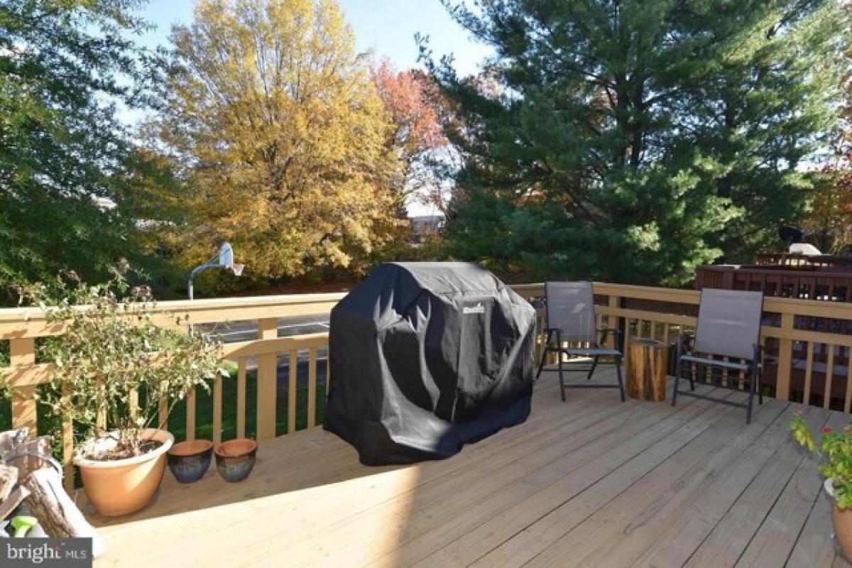 Picture of Home For Rent in Rockville, Maryland, United States