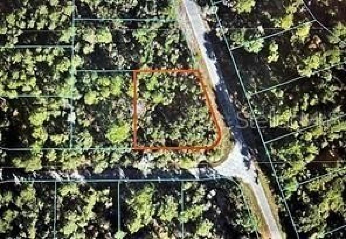 Picture of Residential Land For Sale in Ocklawaha, Florida, United States