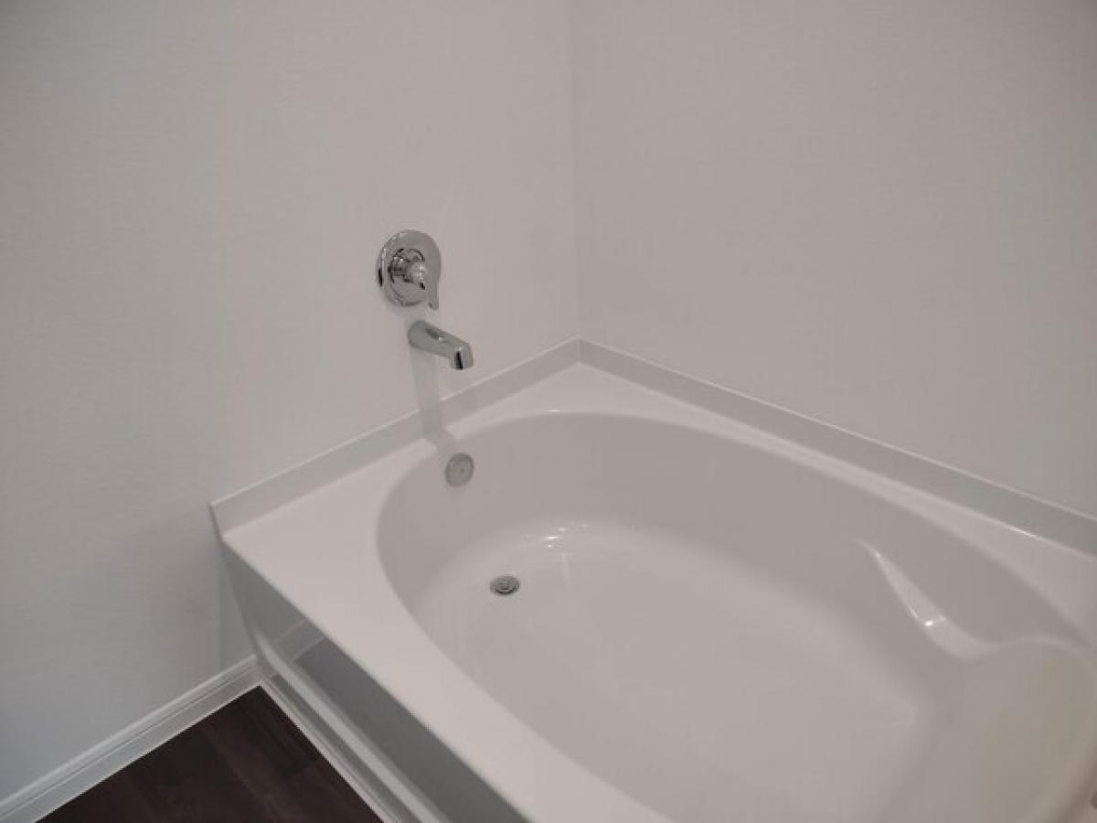 Picture of Home For Rent in New Caney, Texas, United States