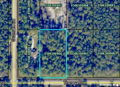 Residential Land For Sale in Hastings, Florida