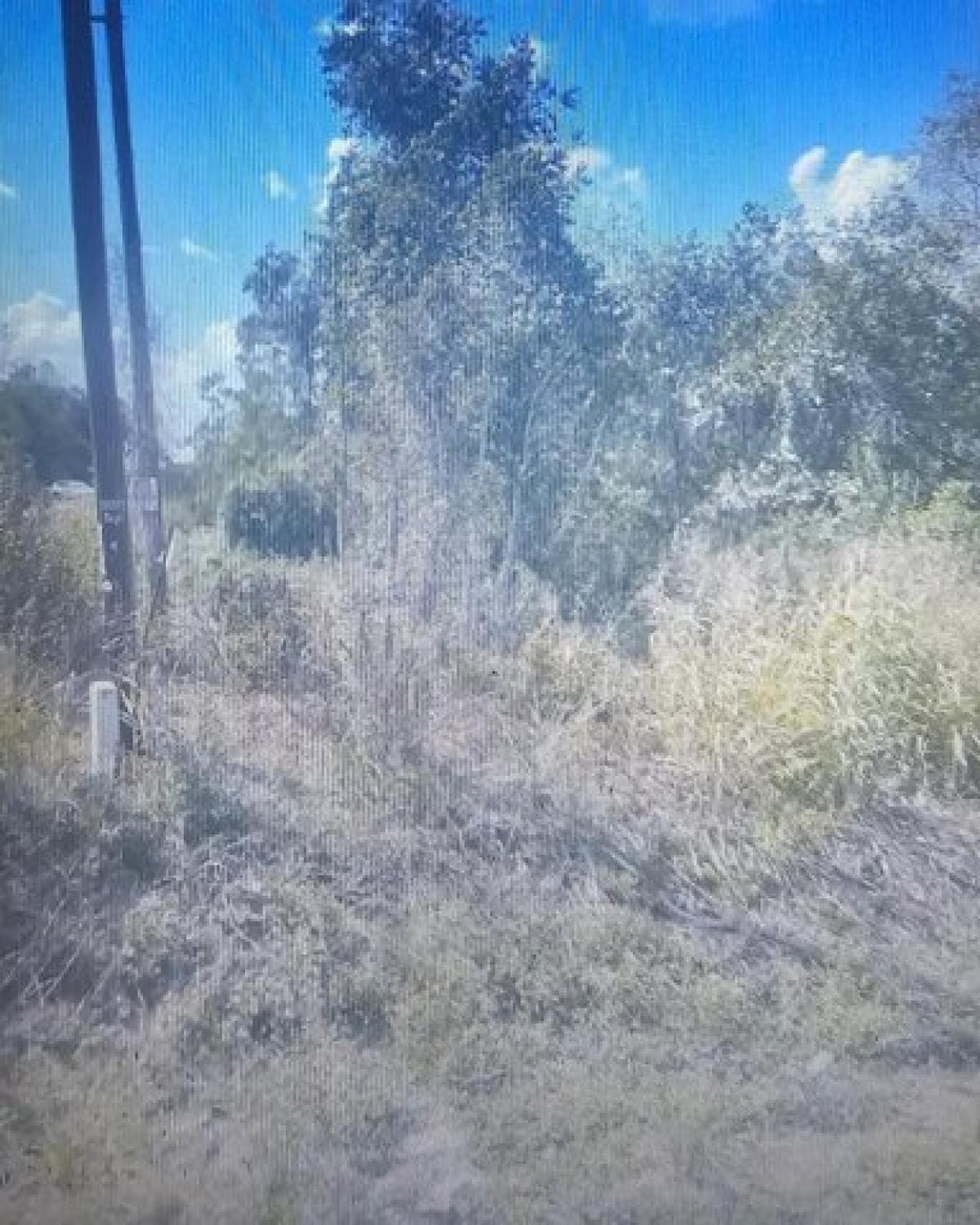 Picture of Residential Land For Sale in Dayton, Texas, United States