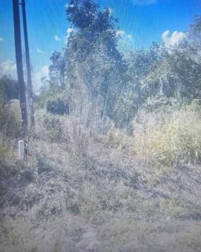 Residential Land For Sale in Dayton, Texas