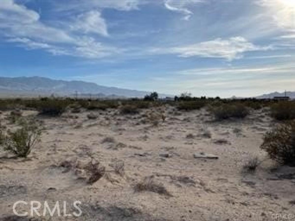 Picture of Residential Land For Sale in Lucerne Valley, California, United States