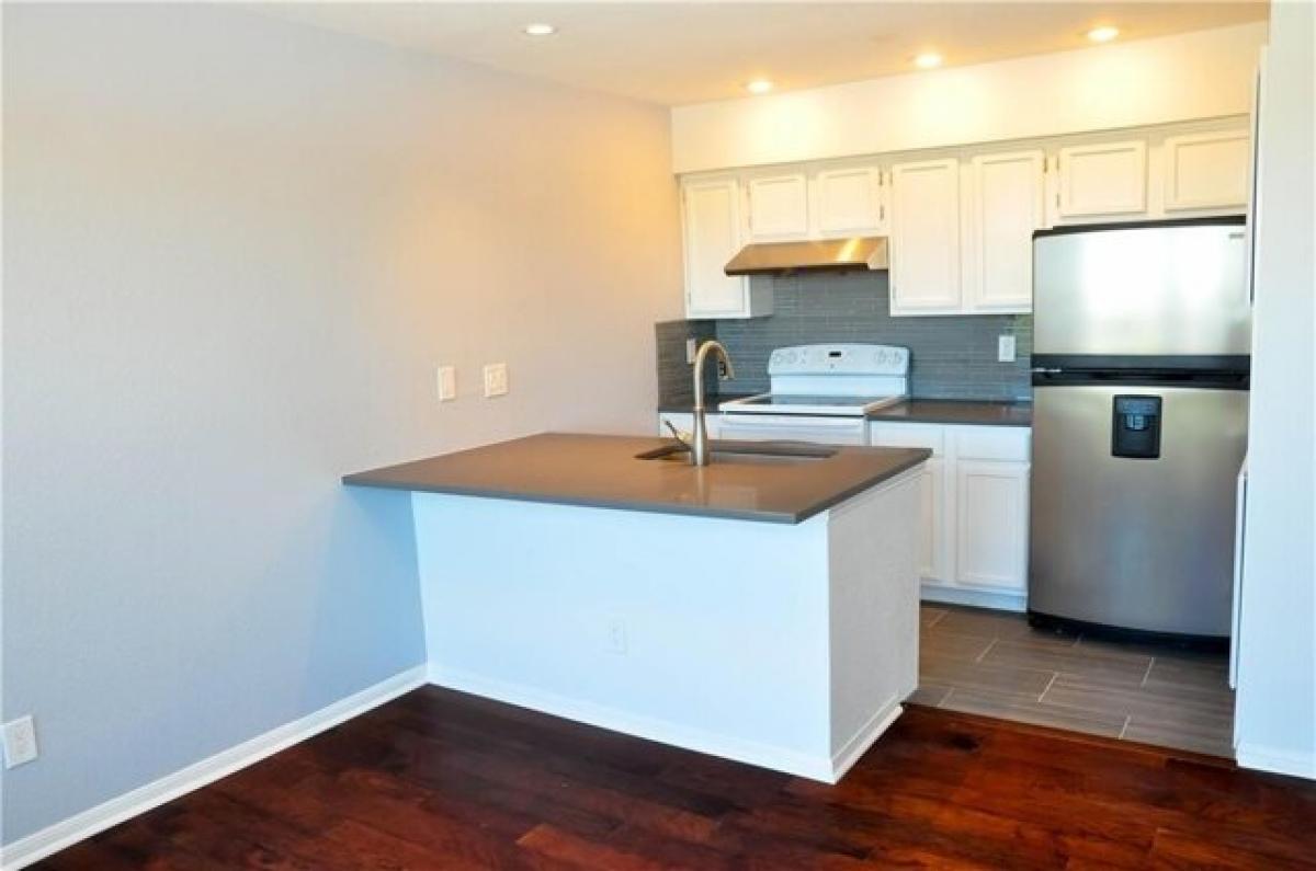 Picture of Apartment For Rent in Austin, Texas, United States