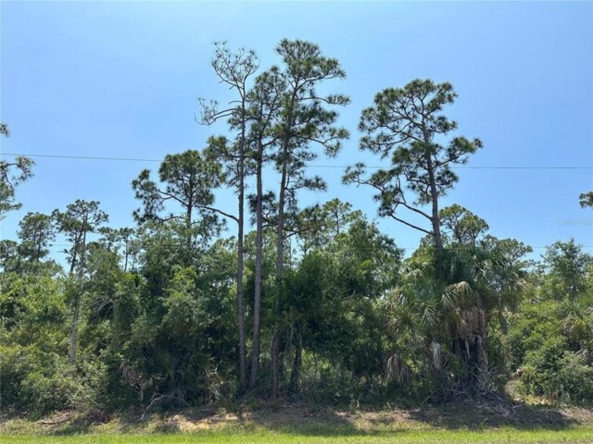 Picture of Residential Land For Sale in Punta Gorda, Florida, United States