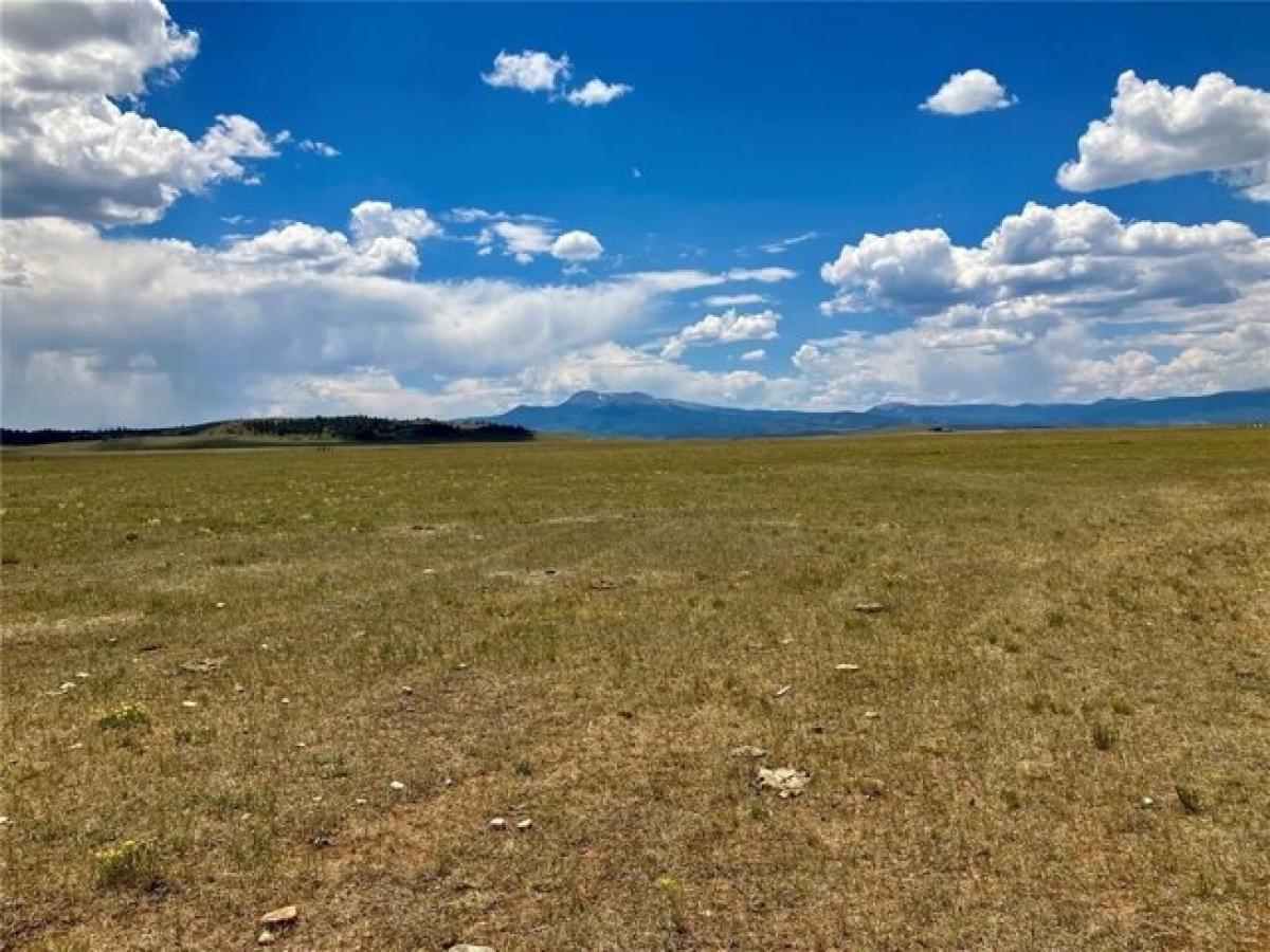 Picture of Residential Land For Sale in Hartsel, Colorado, United States