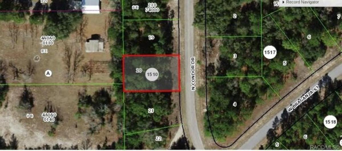 Picture of Residential Land For Sale in Citrus Springs, Florida, United States