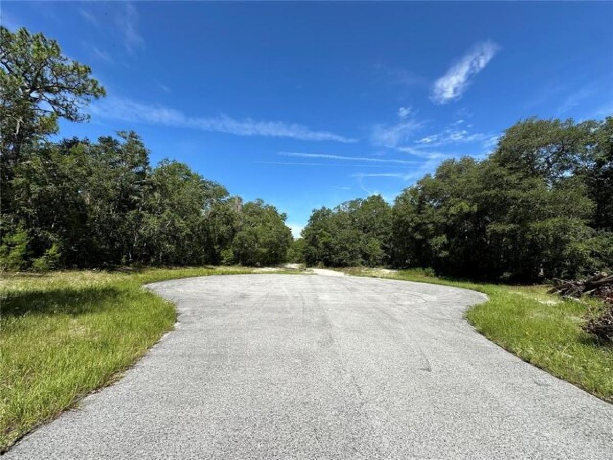 Picture of Residential Land For Sale in Ocala, Florida, United States