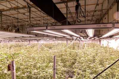 Home For Sale in Medford, Oregon