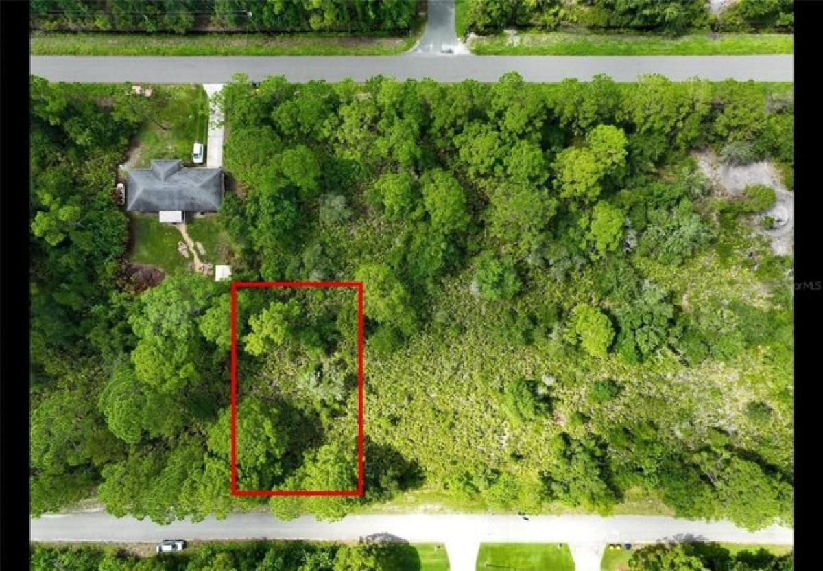 Picture of Residential Land For Sale in Lake Placid, Florida, United States