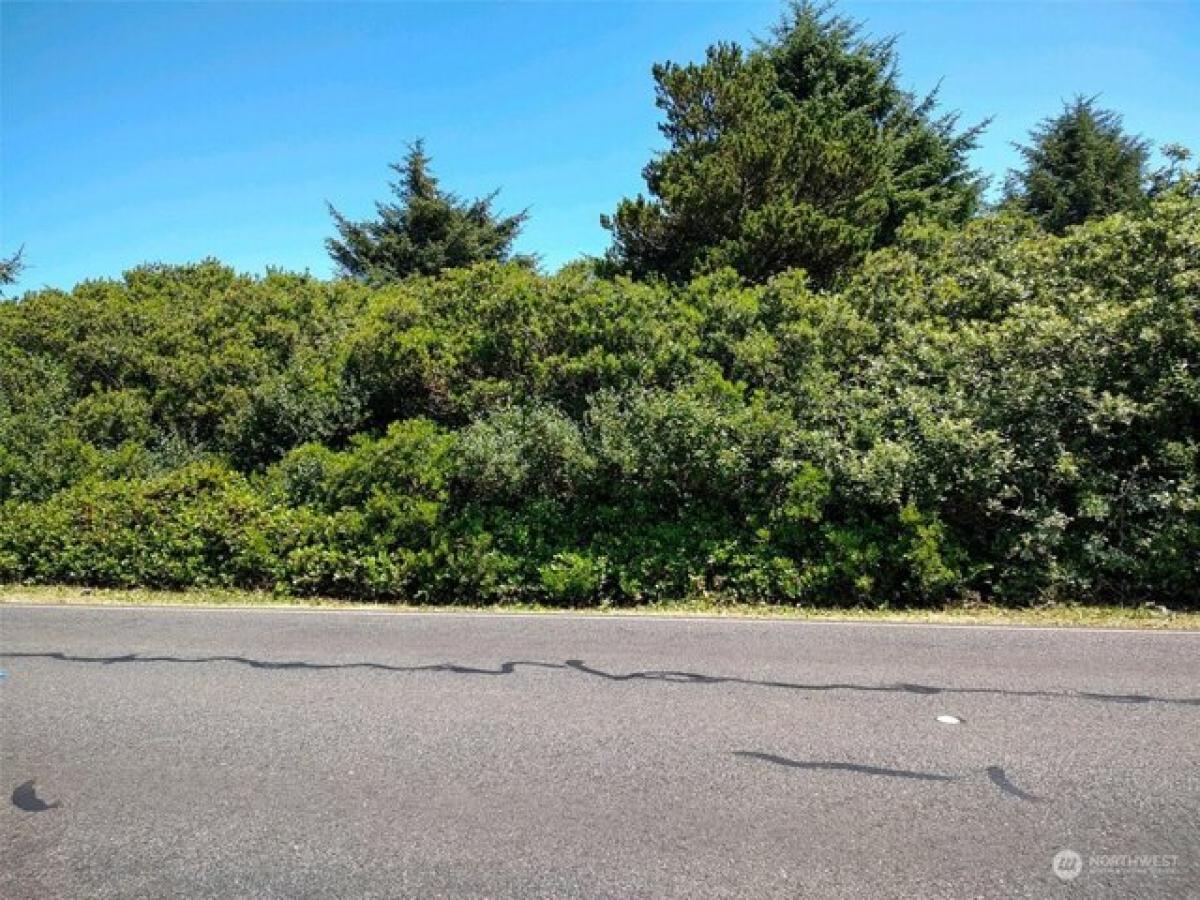 Picture of Residential Land For Sale in Ocean Shores, Washington, United States