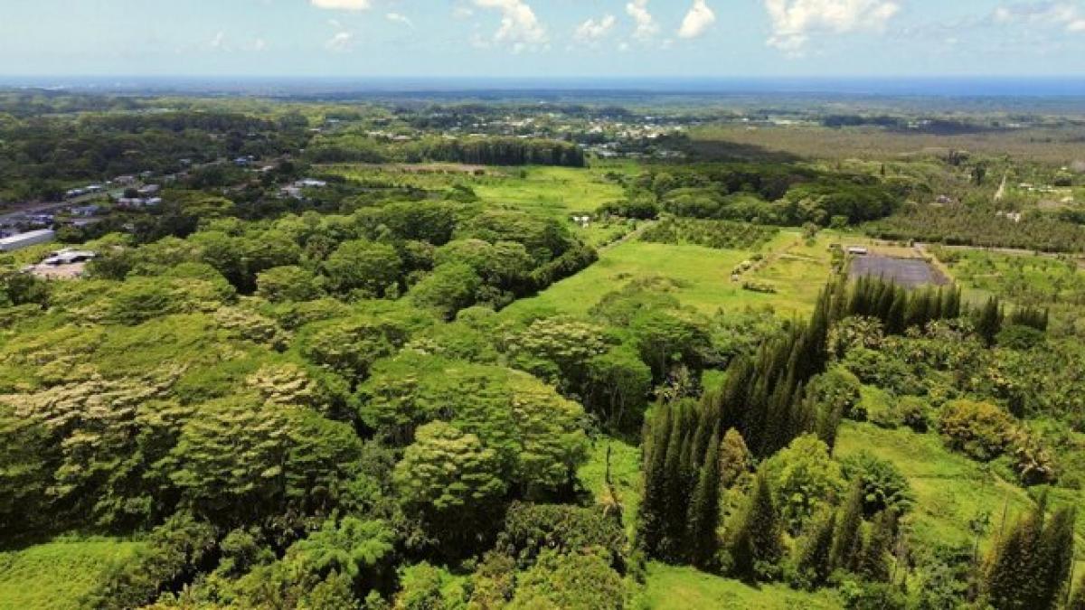 Picture of Residential Land For Sale in Kurtistown, Hawaii, United States