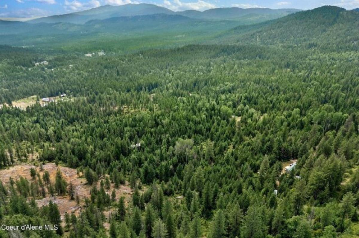 Picture of Residential Land For Sale in Sandpoint, Idaho, United States