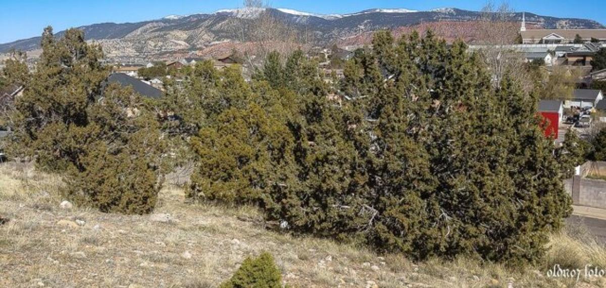 Picture of Residential Land For Sale in Cedar City, Utah, United States