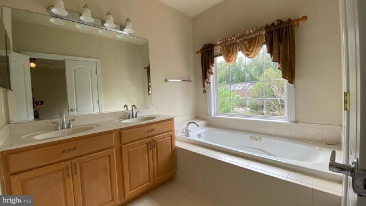 Picture of Home For Rent in Fairfax, Virginia, United States