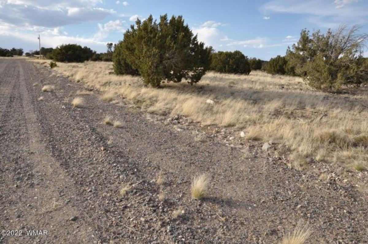 Picture of Residential Land For Sale in Concho, Arizona, United States