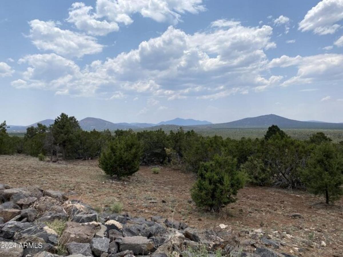 Picture of Residential Land For Sale in Williams, Arizona, United States