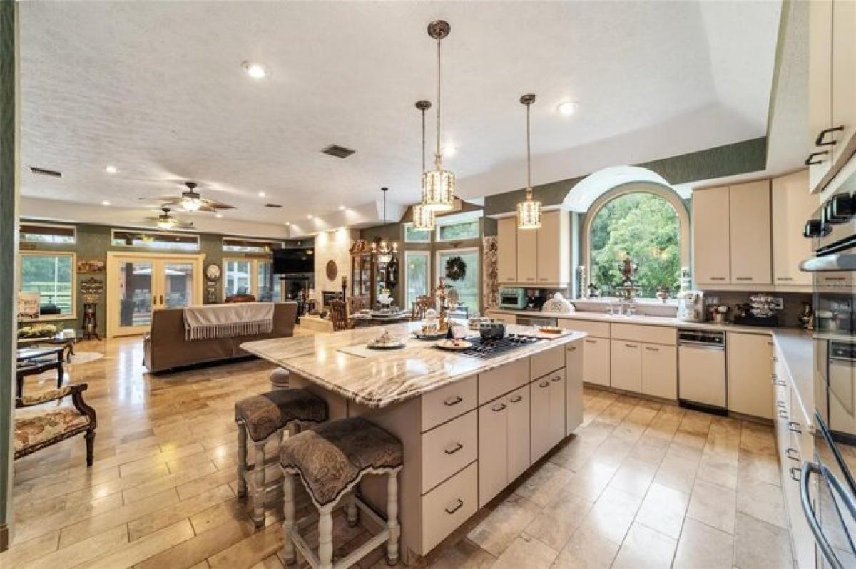 Picture of Residential Land For Sale in Ocala, Florida, United States