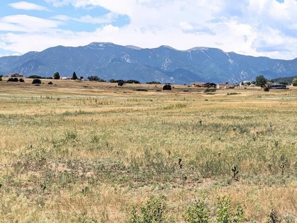 Picture of Residential Land For Rent in Colorado City, Colorado, United States