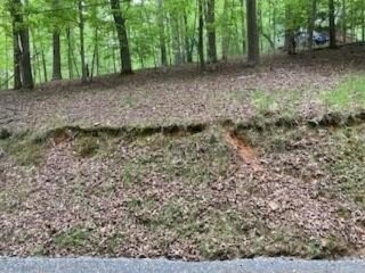 Picture of Residential Land For Sale in Ellijay, Georgia, United States