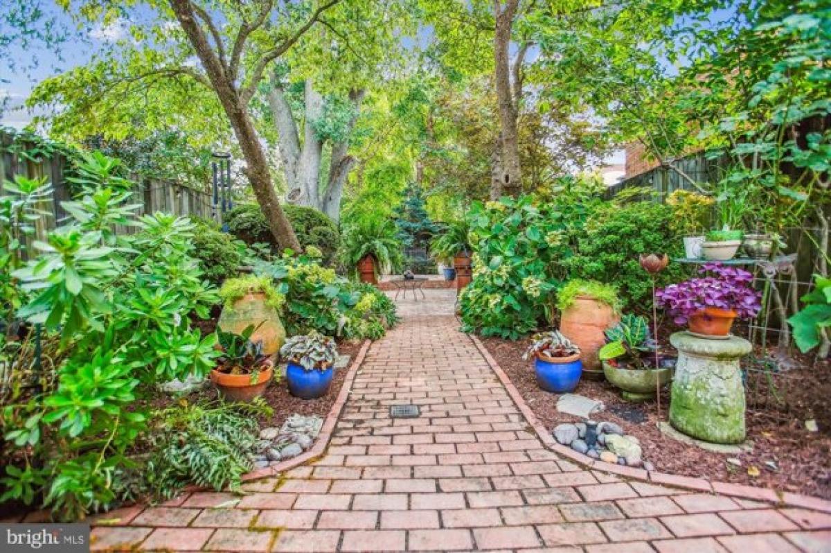 Picture of Home For Rent in Alexandria, Virginia, United States