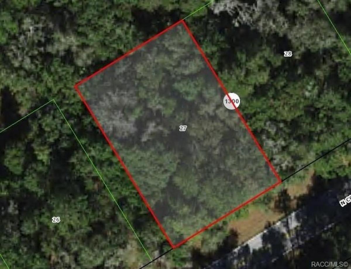 Picture of Residential Land For Sale in Citrus Springs, Florida, United States