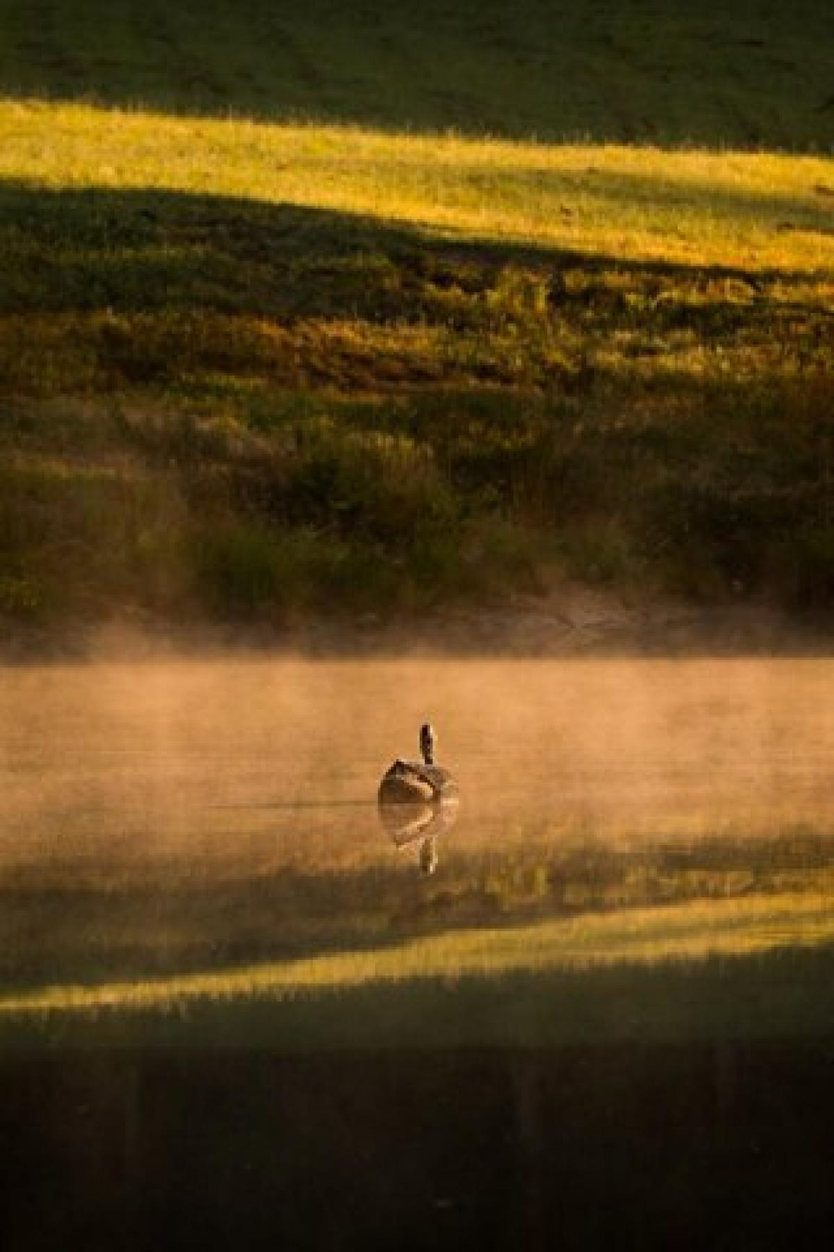 Picture of Residential Land For Sale in Dickson, Tennessee, United States