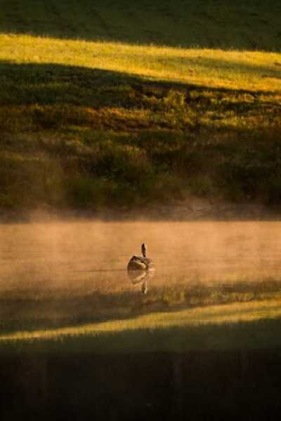 Residential Land For Sale in Dickson, Tennessee