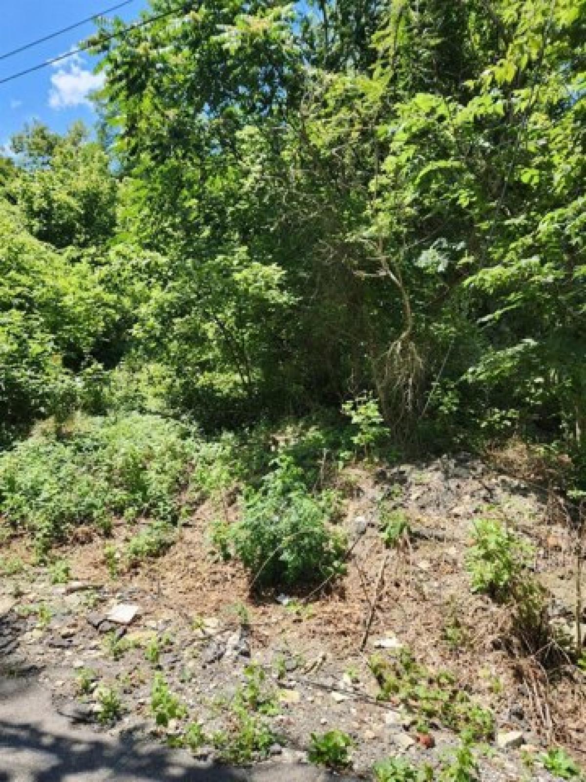 Picture of Residential Land For Sale in Aurora, Indiana, United States