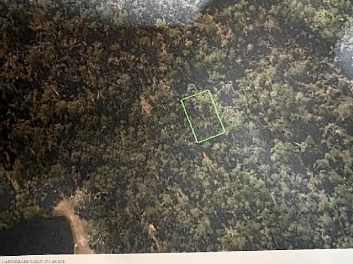 Picture of Residential Land For Sale in Sebring, Florida, United States