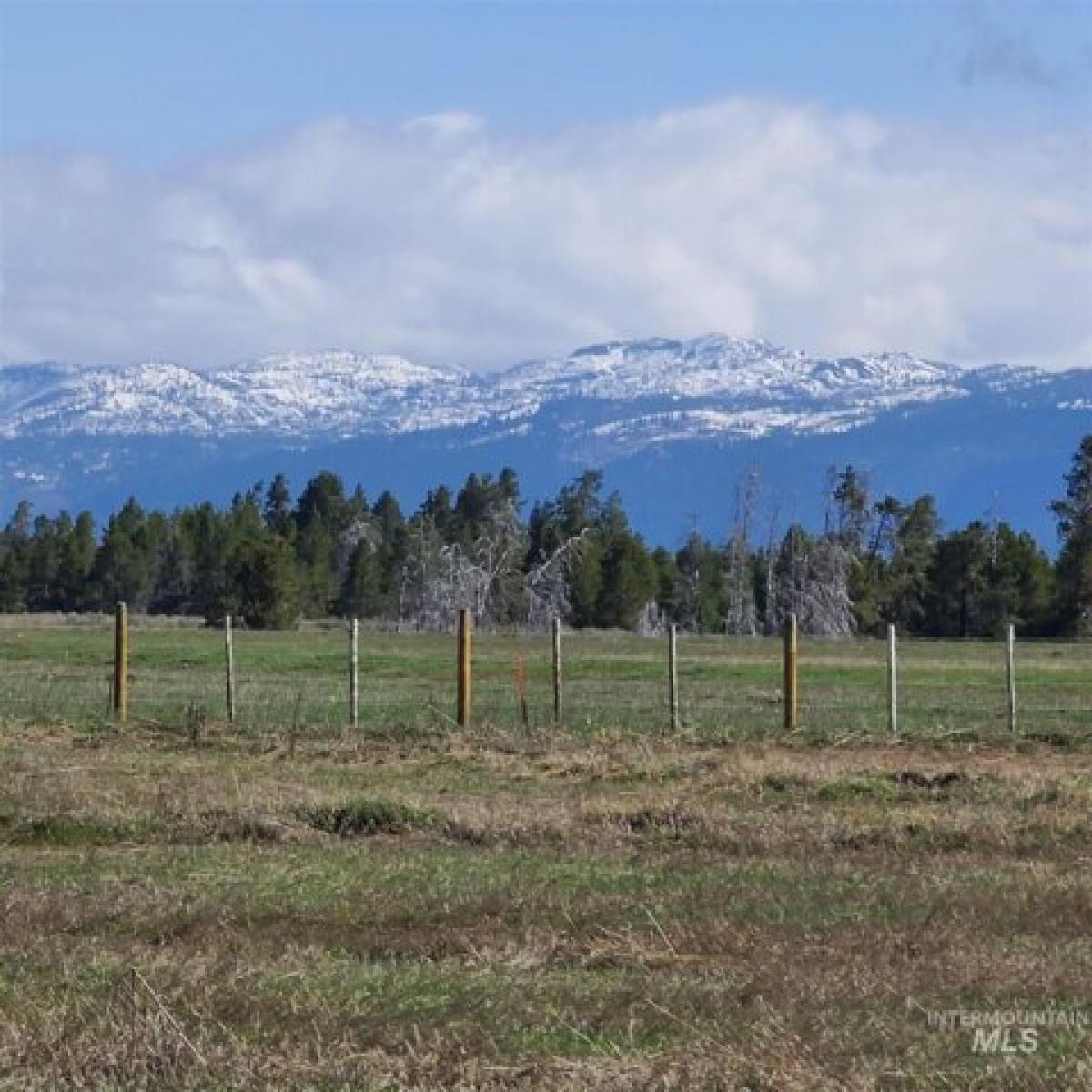 Picture of Residential Land For Sale in Donnelly, Idaho, United States