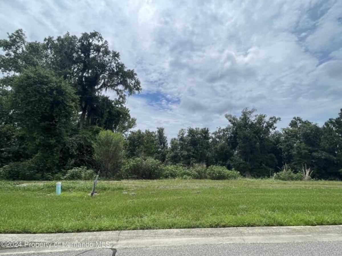 Picture of Residential Land For Sale in Brooksville, Florida, United States
