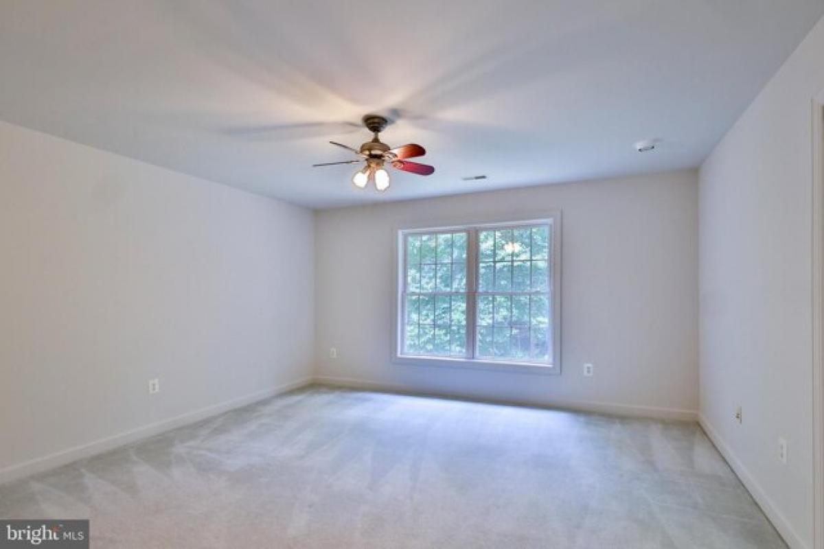 Picture of Home For Rent in McLean, Virginia, United States