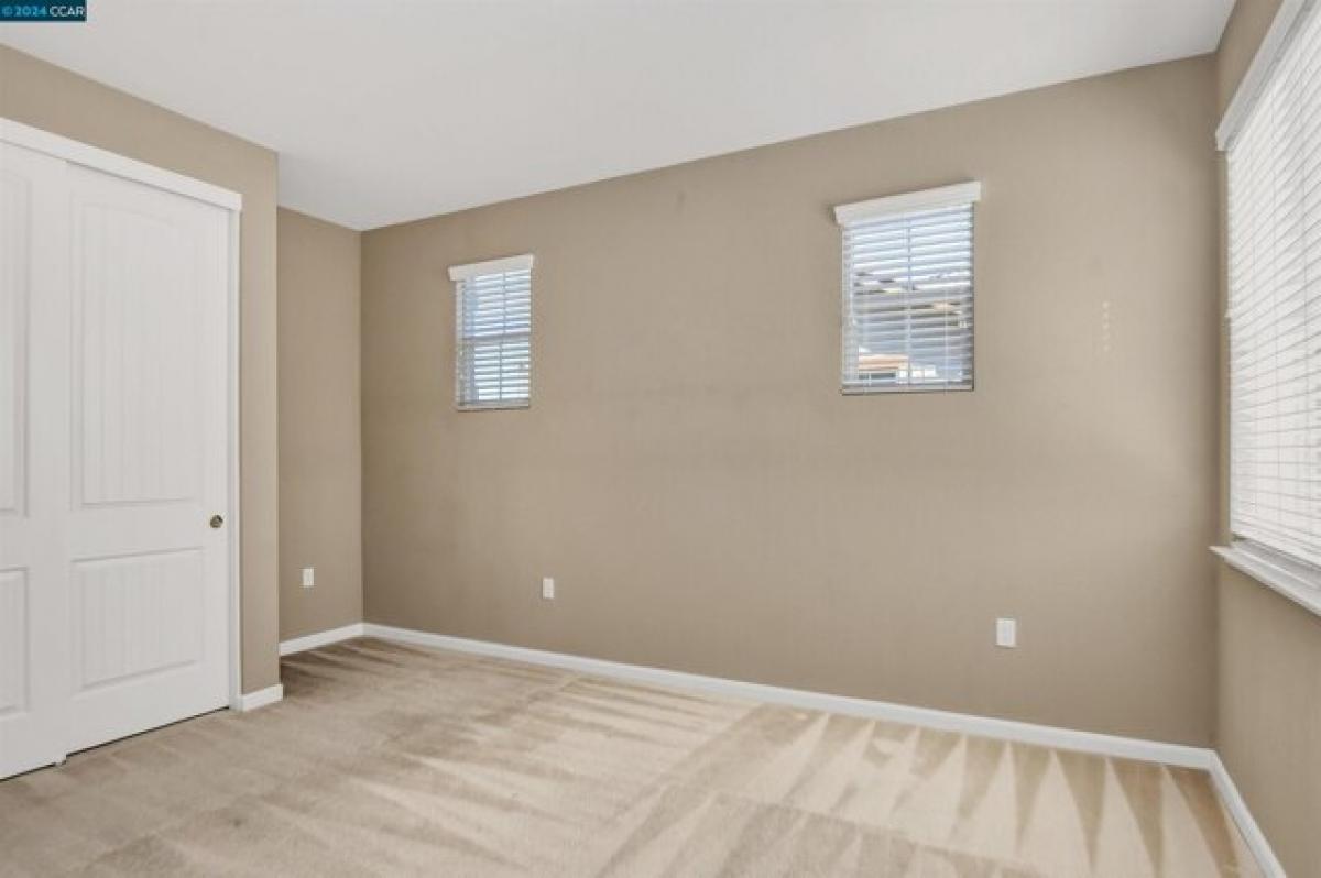 Picture of Home For Rent in Brentwood, California, United States